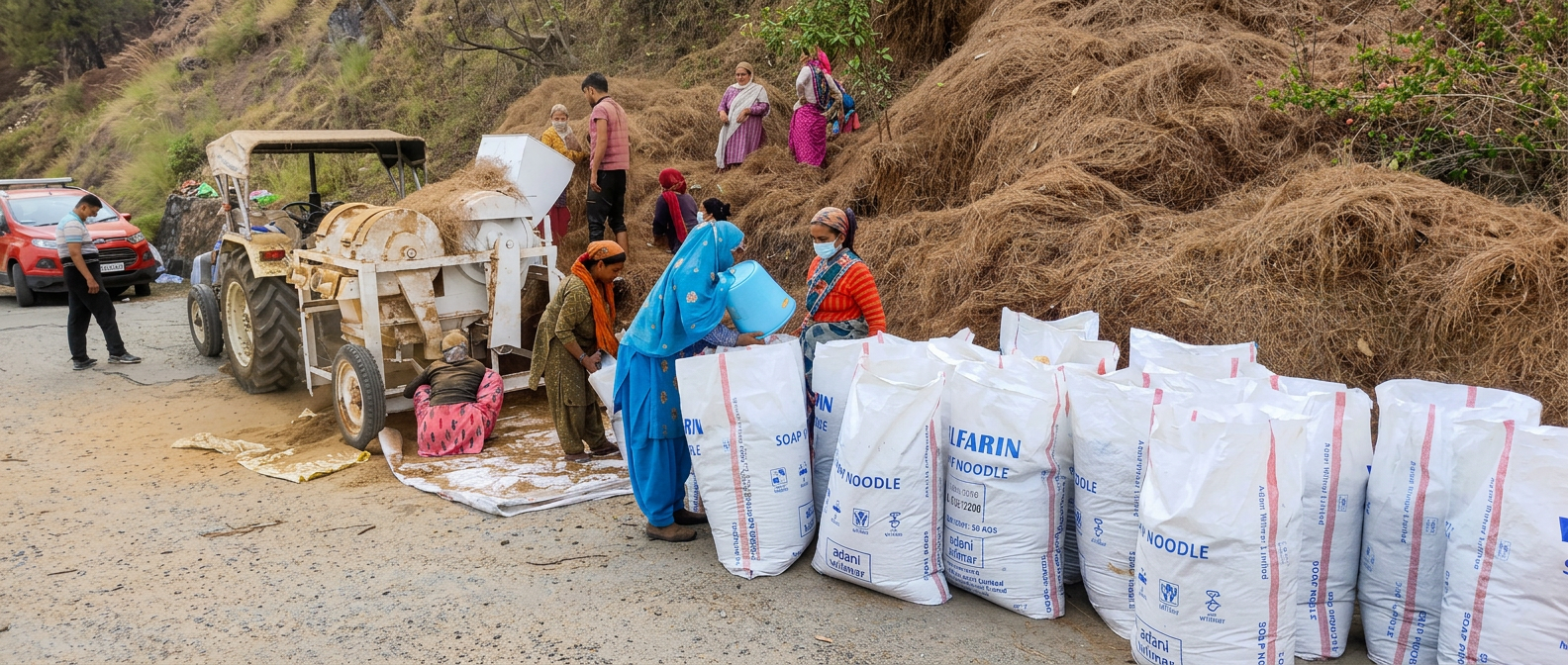 Field workers processing pine needles beside equipment and filled sacks